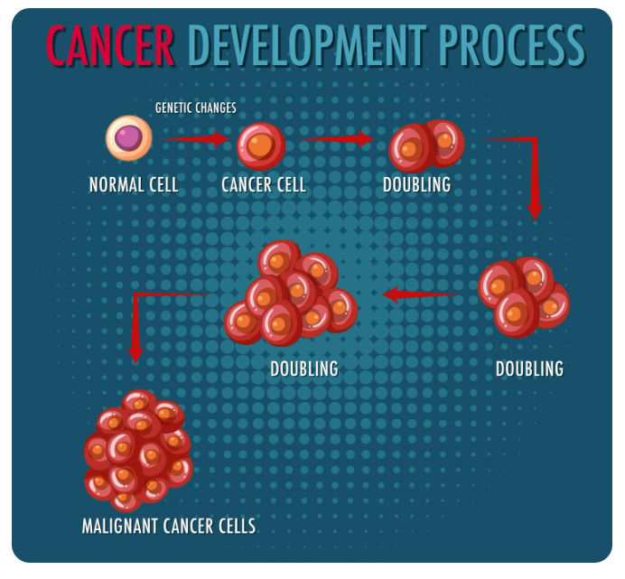 Comparision of Classification Algorithms using Cancer Data