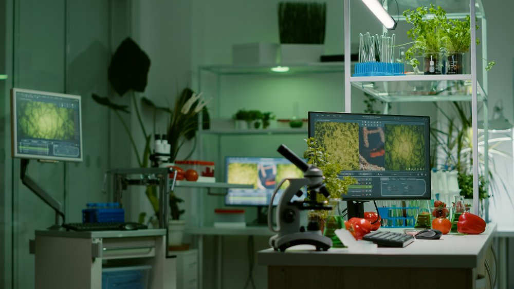Intelligent Medicinal Plant Identification using Deep Learning